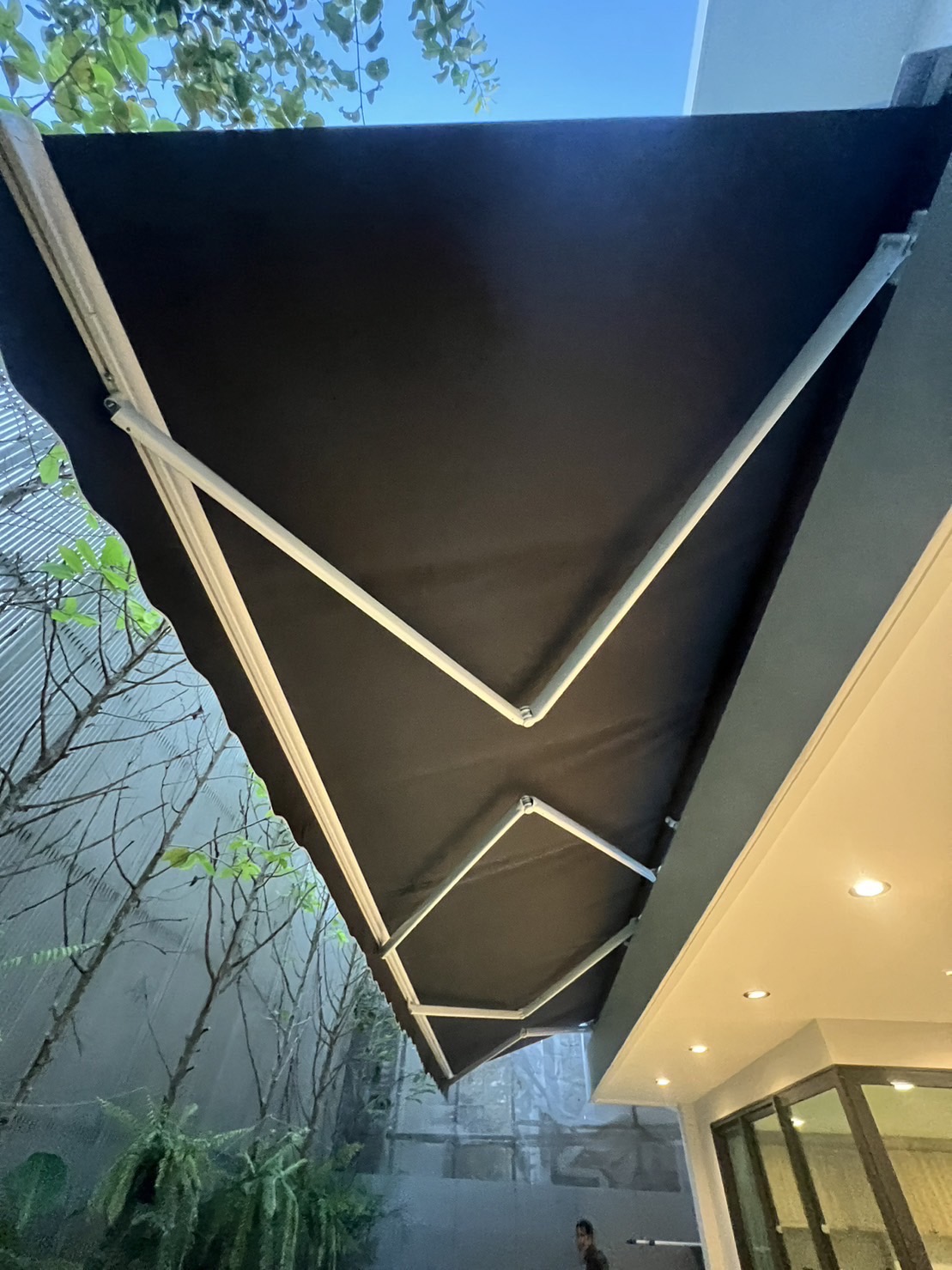 S__175726605_0